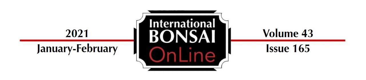 international bonsai online