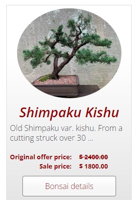 shimpaku-bonsai.jpg