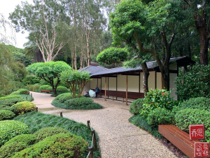 japanese-gardens-mt-coot-tha-1 (3)