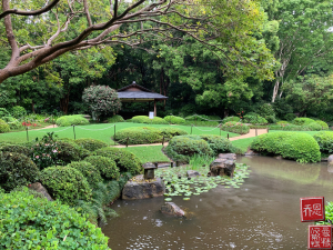 japanese-gardens-mt-coot-tha-1 (4)