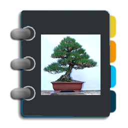 bonsai directory icon