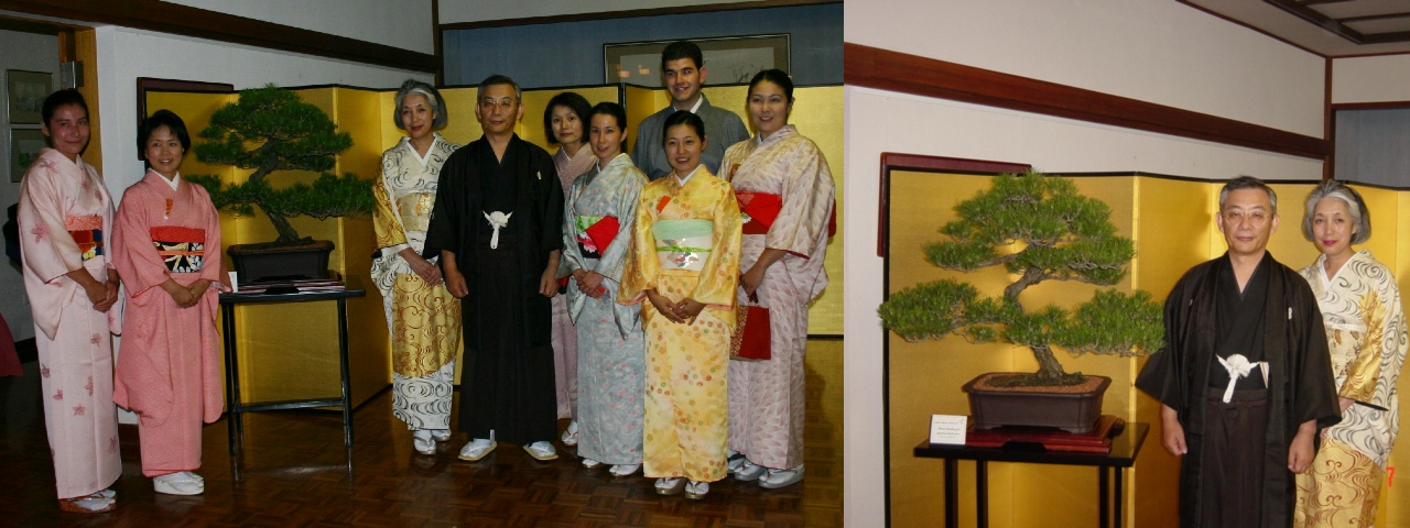 welcome pine japanese embassy canberra
