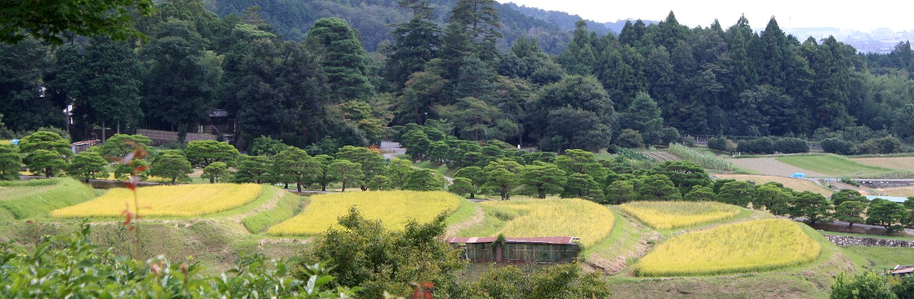 niwaki shugaku in imperial villa kyoto